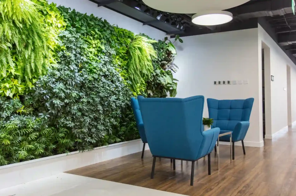 Earth Moss and Plant Walls: Nature Meets Design in Your Workplace