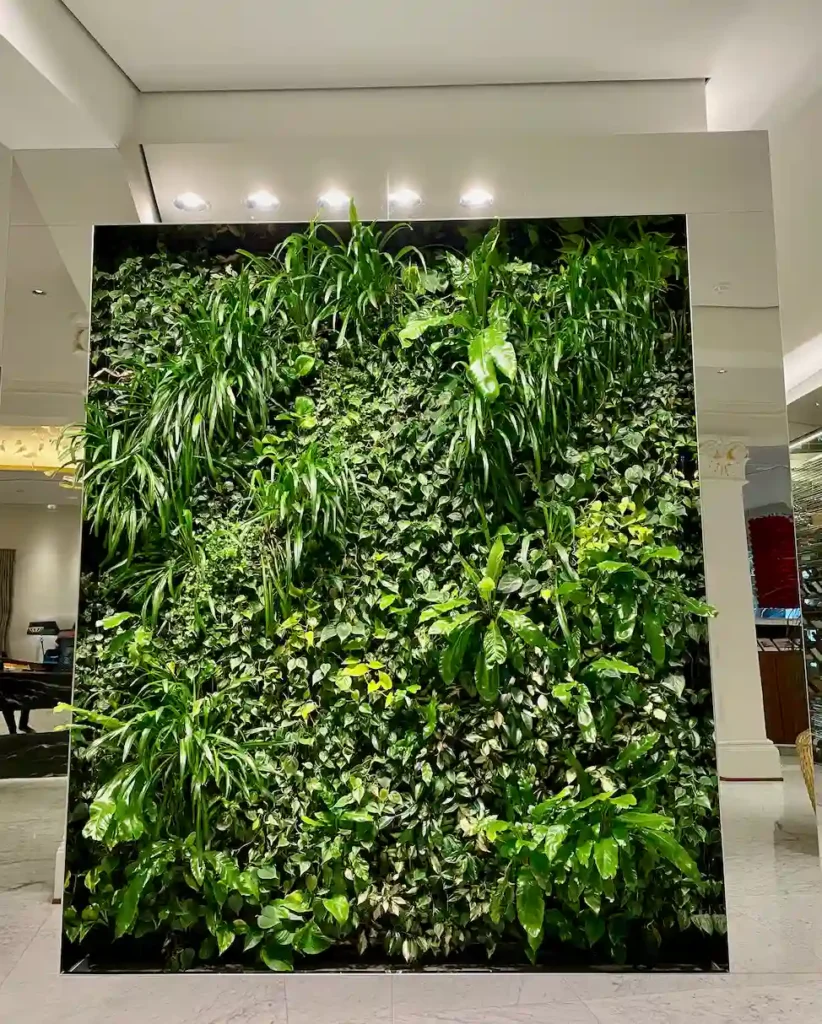 Plant Wall Idea